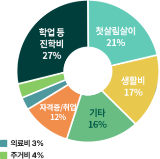 학업 등 진학비 27%, 첫살림살이 21%, 생활비 17%, 기타 16%, 자격증/취업 12%, 주거비 4%, 의료비 3%