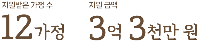 지원받은 가정 수:12가정/지원 금액:3억 3천만 원