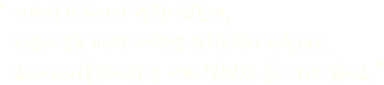 어제까지 다니던 병원이었는데, 창문이 모두 깨져 바닥엔 유리조각이 가득해요. 졸로체우엔 이제 멀쩡한 곳이 거의 없어요.
