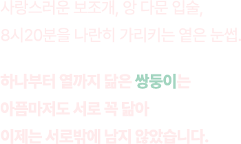 사랑스러운 보조개, 앙 다문 입술, 8시20분을 나란히 가리키는 옅은 눈썹./하나부터 열까지 닮은 쌍둥이는 아픔마저도 서로 꼭 닮아 이제는 서로밖에 남지 않았습니다.